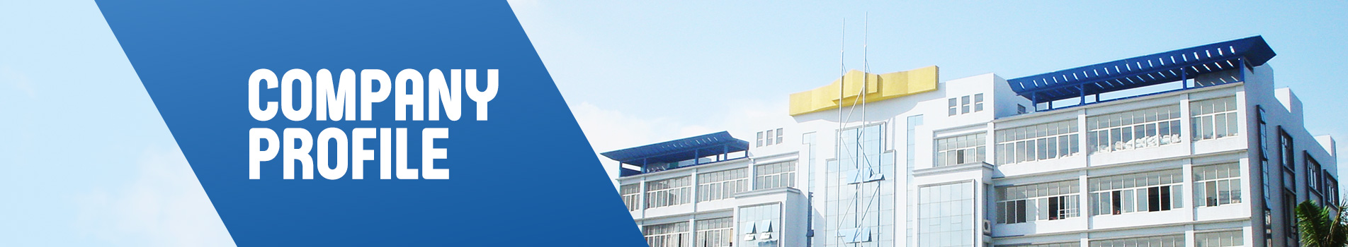 Company-profile-3
